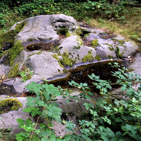 diestiaanzee|GC7Z6EA Venusberg (Traditional Cache) in Limburg, Belgium